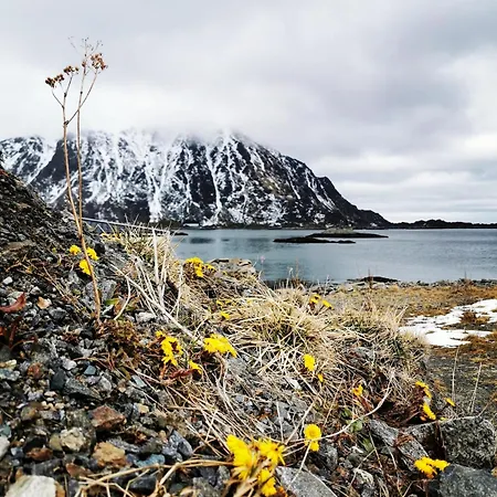 Unique By The Sea In Lofoten Prázdninový dům Vestvagoy